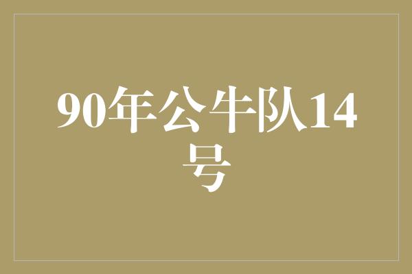 90年公牛队14号