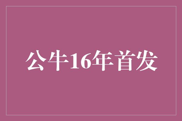 公牛16年首发