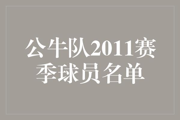 公牛队2011赛季球员名单