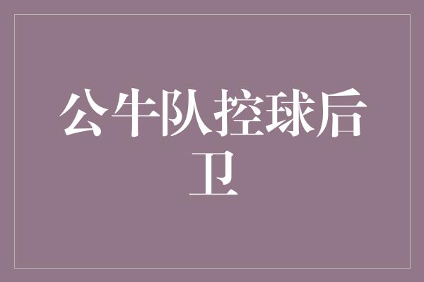 公牛队！蓄势待发，公牛队控球后卫注定辉煌！