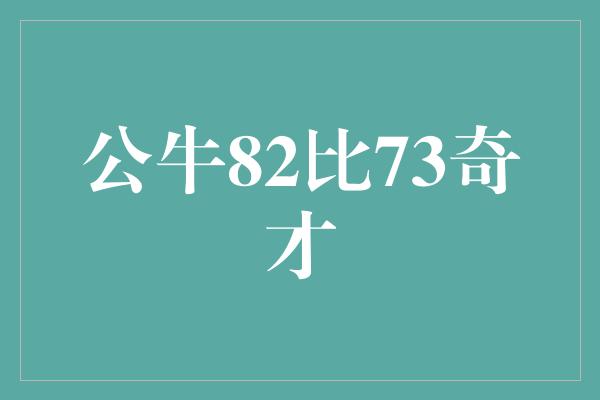 公牛82比73奇才