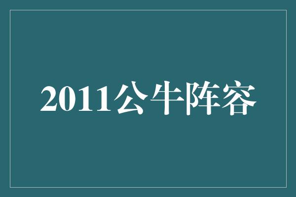 2011公牛阵容