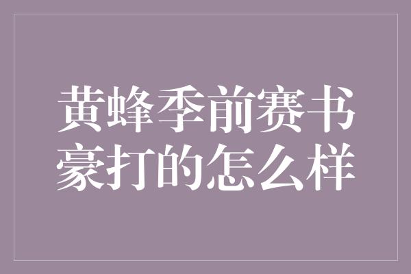 黄蜂季前赛书豪打的怎么样