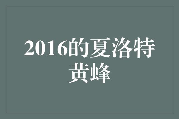 面对挑战！2016的夏洛特黄蜂 勇往直前，化蜜为金！