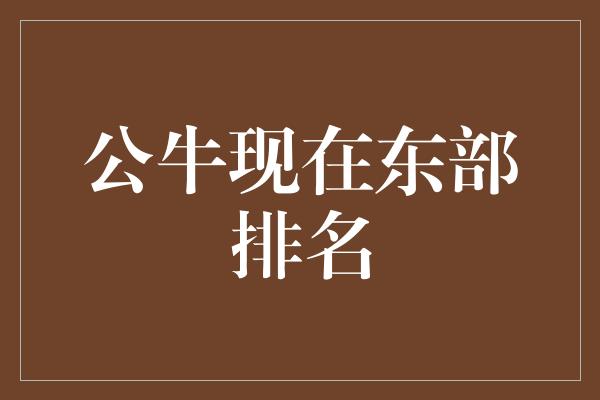 公牛现在东部排名