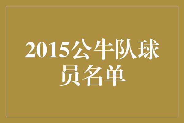 公牛队！重返巅峰之路——回顾2015年公牛队球员名单