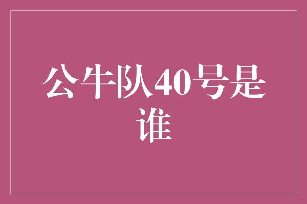 公牛队！探寻公牛队40号的神秘身影