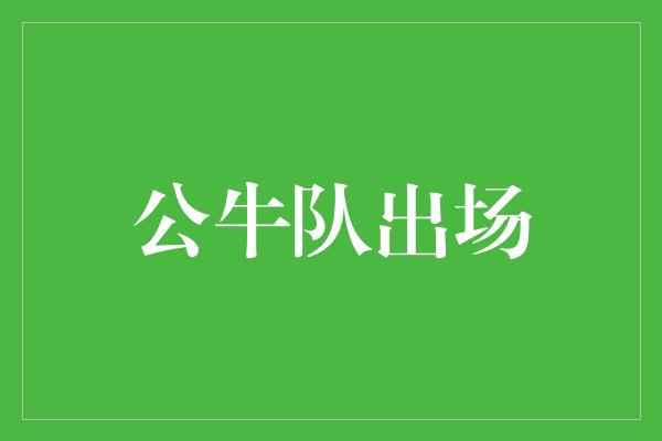 公牛队！重返巅峰！公牛队出场，再次点燃篮球狂热