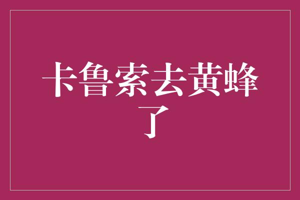 卡鲁索去黄蜂了