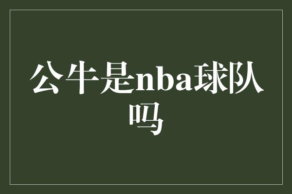 公牛是nba球队吗