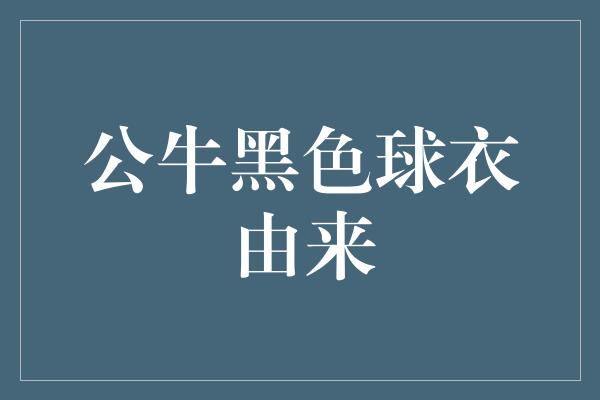 公牛队！黑色球衣的魅力 探寻公牛队的黑色传奇