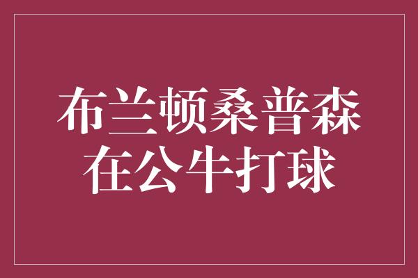 公牛队！布兰顿桑普森 激情与才华在公牛之间绽放