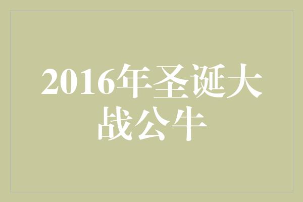 公牛队！2016年圣诞大战公牛 勇往直前，奋力拼搏的故事