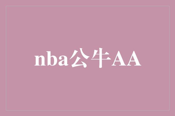 nba公牛AA