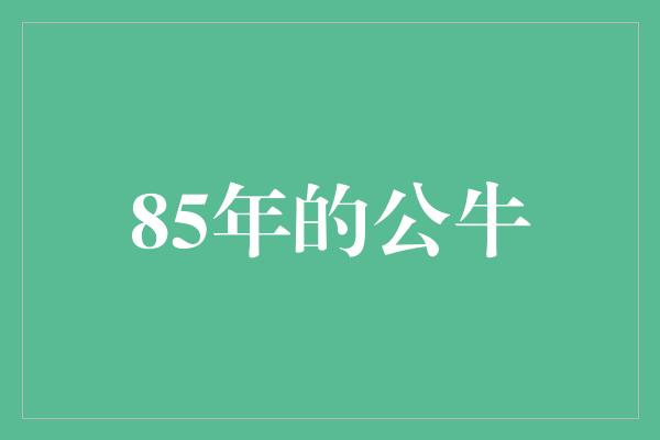 85年的公牛