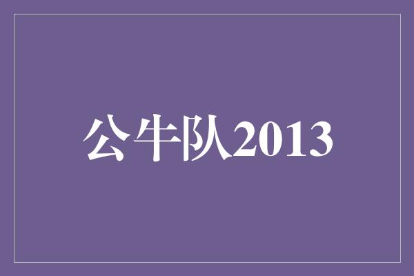 公牛队！重回巅峰，公牛队2013年的征程