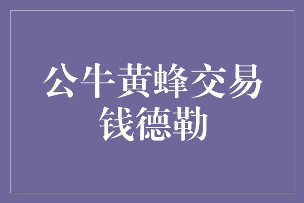 公牛队！公牛黄蜂交易钱德勒——为球队注入新活力与希望