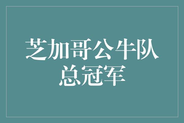 芝加哥公牛队总冠军