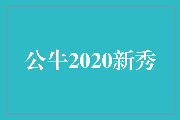 潜力！闪耀登场 公牛2020新秀的光芒与潜力