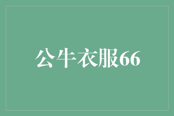 象征！公牛衣服66-力量与激情的象征