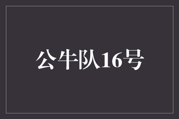 公牛队16号