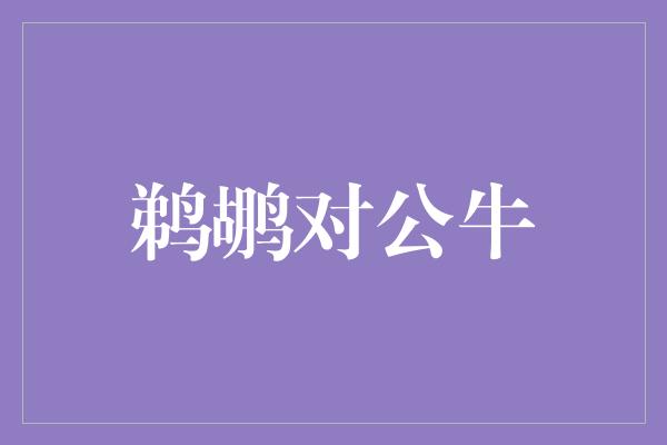 鹈鹕对公牛