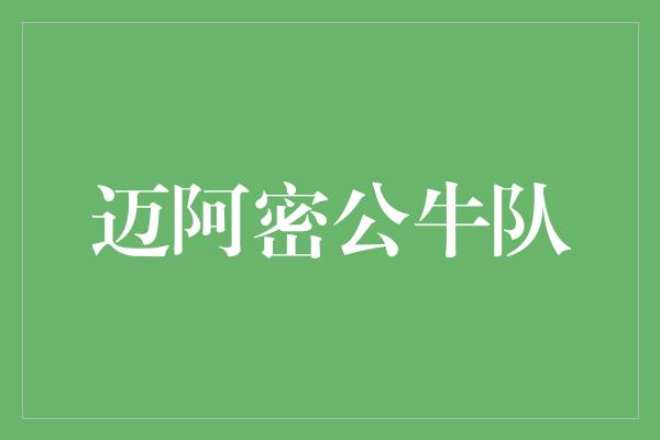 公牛队！迈阿密公牛队 勇往直前的篮球传奇