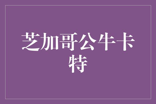 芝加哥公牛卡特