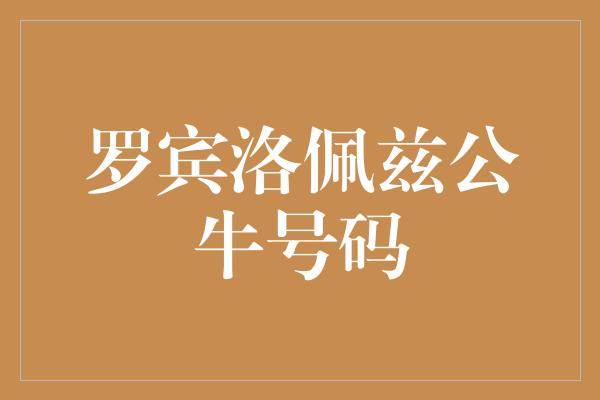 号码！罗宾洛佩兹 勇往直前，展现公牛传奇