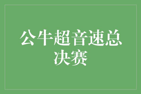 公牛队！震撼人心！公牛与超音速的总决赛将掀起篮球史上最激烈的对决