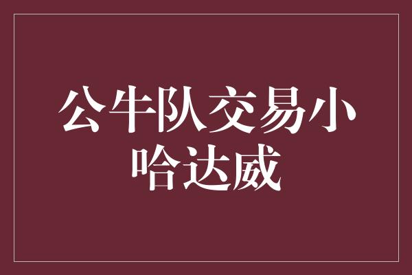 公牛队！公牛队交易小哈达威，为重建注入新活力