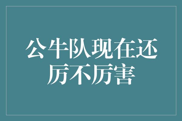 公牛队！公牛队 重回霸主之路