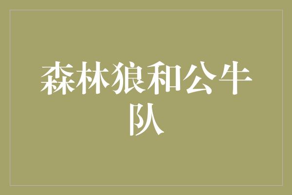 公牛队！激烈对决！森林狼和公牛队的较量将点燃比赛场上的火花