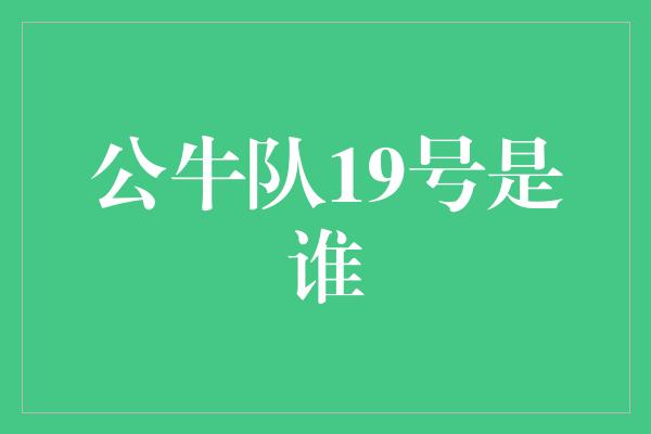 公牛队19号是谁