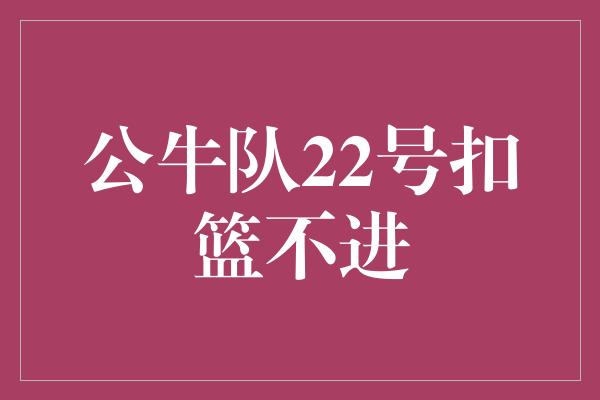 公牛队22号扣篮不进