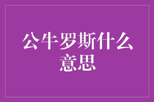 公牛队！罗斯，一个充满活力与才华的公牛