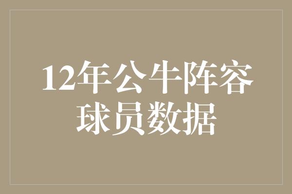 12年公牛阵容球员数据