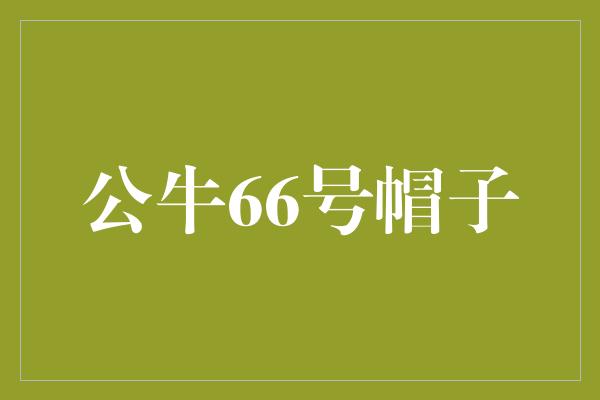 帽子！追寻梦想的勇气——公牛66号帽子