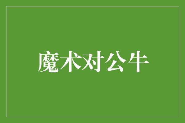 公牛队！魔术对公牛 一场充满魔力与斗志的对决