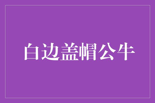 盖帽！奋力前行，白边盖帽公牛励志故事