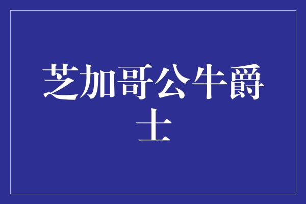 芝加哥公牛爵士