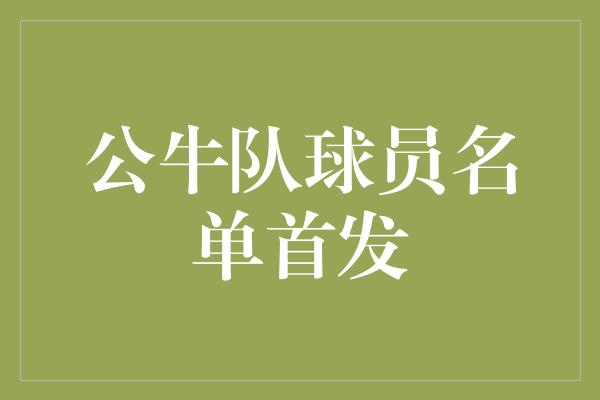 公牛队！公牛队主力阵容揭晓，迈向胜利的步伐！