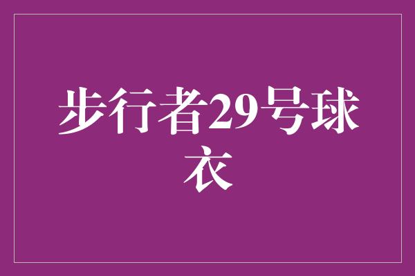 步行者29号球衣