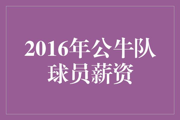 2016年公牛队球员薪资