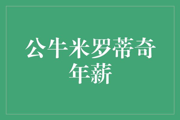 公牛队！公牛米罗蒂奇年薪 薪资高昂背后的付出与成就