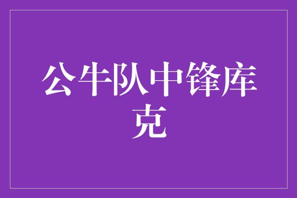 公牛队！公牛队中锋库克 力量与技巧的完美结合