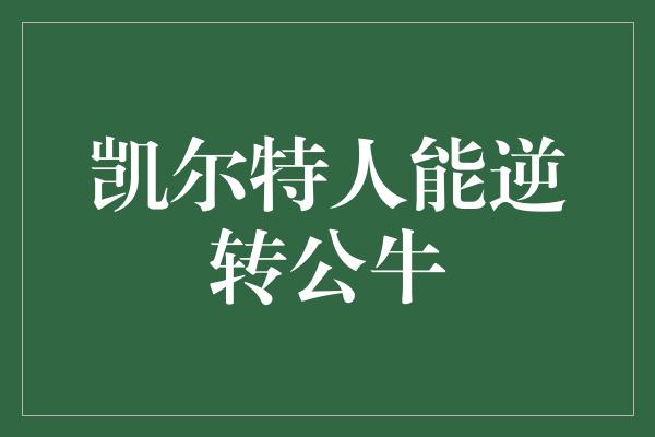 公牛队！凯尔特人的勇气和实力，能够逆转公牛！