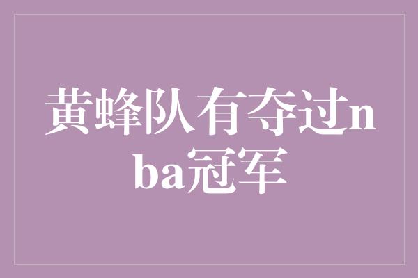 黄蜂队！黄蜂队 不容忽视的NBA冠军之路