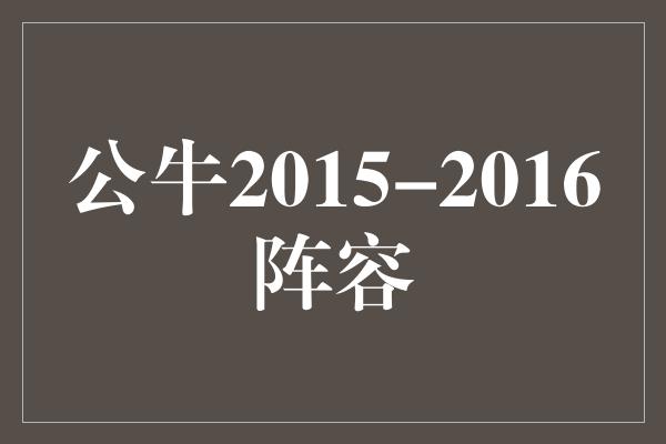 公牛队！重返巅峰，公牛2015-2016阵容展现实力与决心