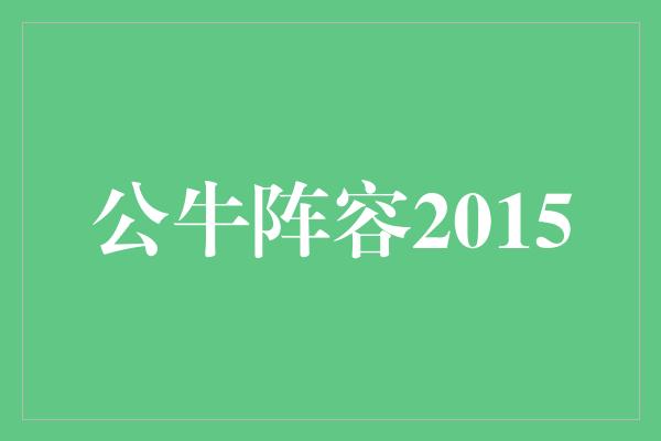 公牛队！重回辉煌，再续辉煌——回顾2015年公牛阵容